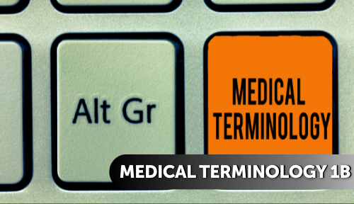 Medical Terminology 1b